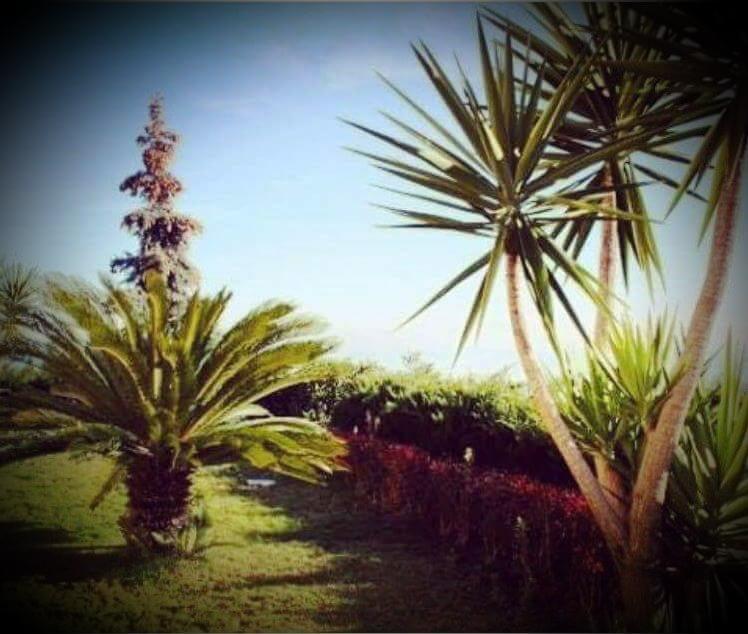 B&B Villa Floriana Tortoreto Eksteriør bilde